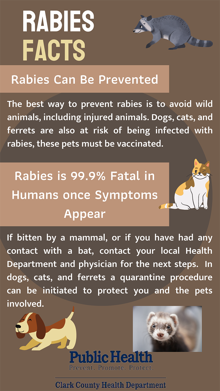 does a puppy bite cause rabies